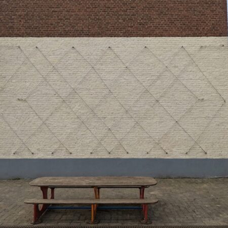 Klimnet voor gevelplanten